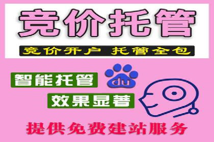 案例分析：SEM优化助力电商销量增长